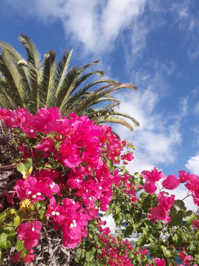 マスパロマスTaidia Tropicalアパートメント エクステリア 写真